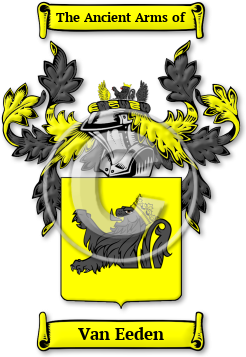 Van Eeden Family Crest Download (jpg) Legacy Series - 150 DPI